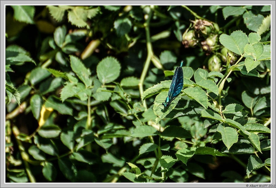 Regard autour de moi