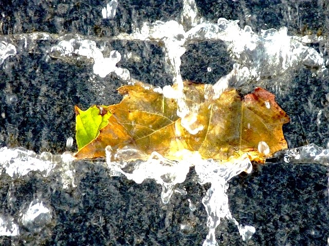 L'automne à Metz 7 Marc de Metz 17 10 2012