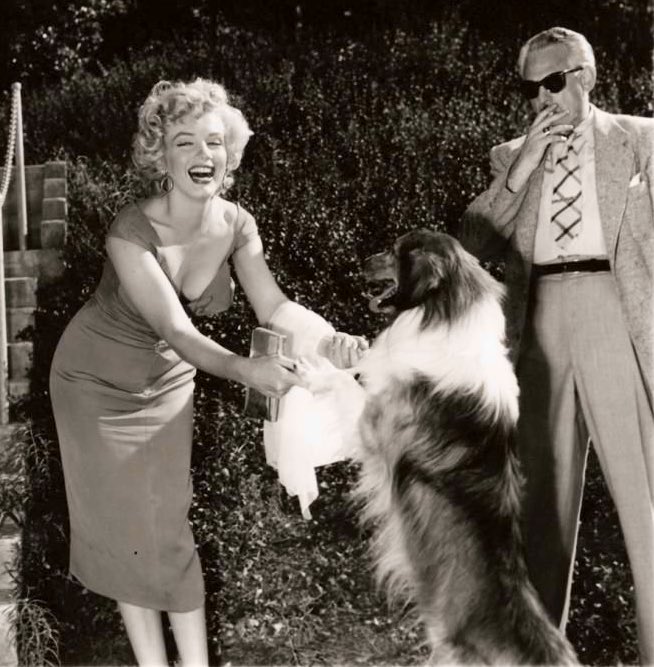 photos Marilyn monroe