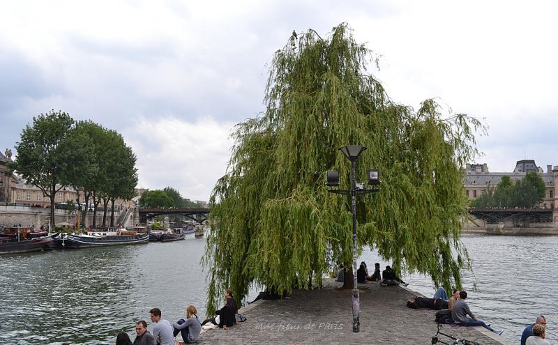 L'Île de la Cité : Le square du Vert-Galant