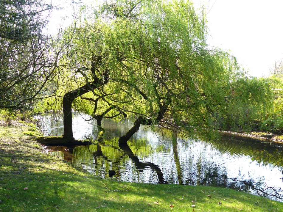 Le parc du Zoo d'Amiens