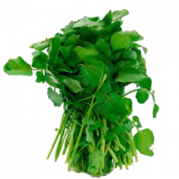 Soupe de Cresson