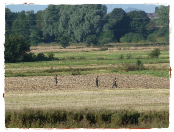 De saison ....
