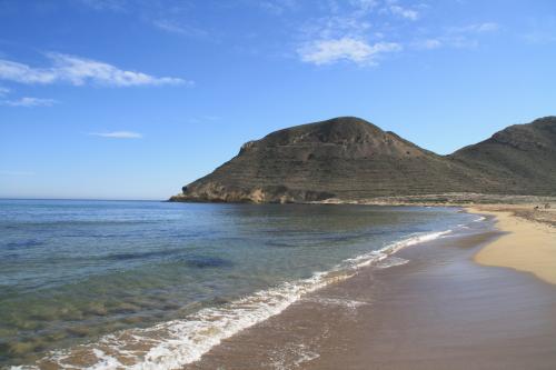 Lundi 20 au dimanche 26 janvier