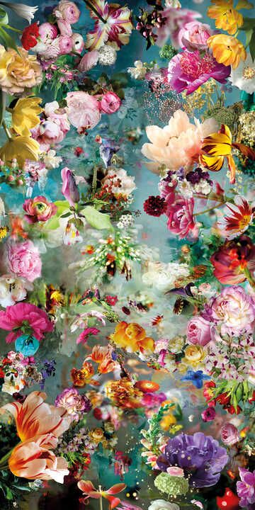 Fonds fleurs
