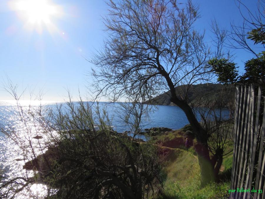 Bonne terrasse à Ramatuelle (83)