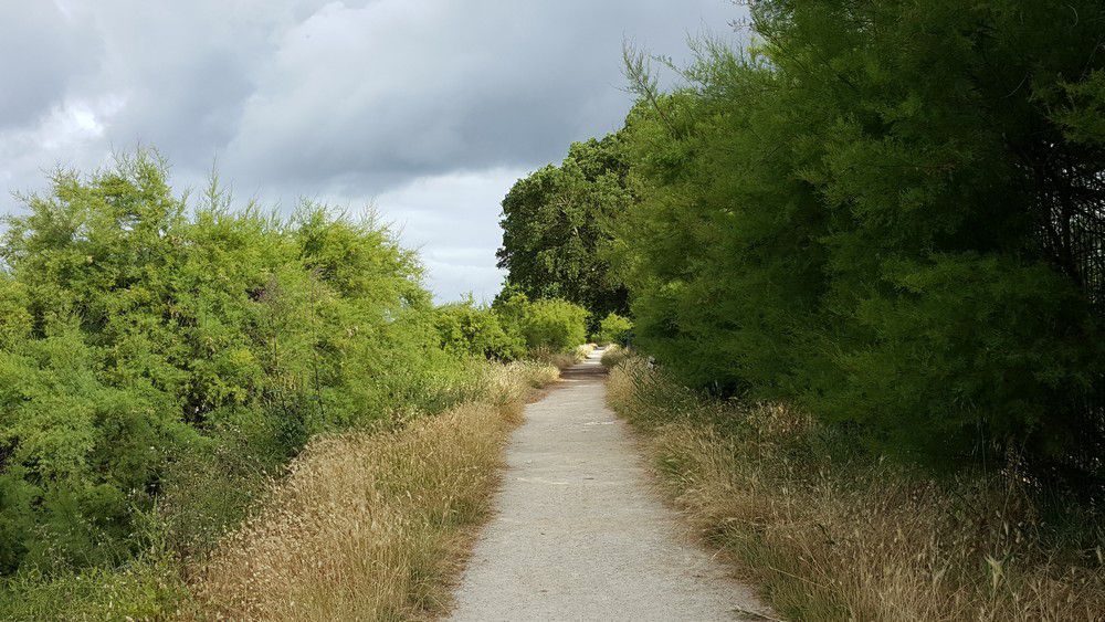 Petite balade dominicale...