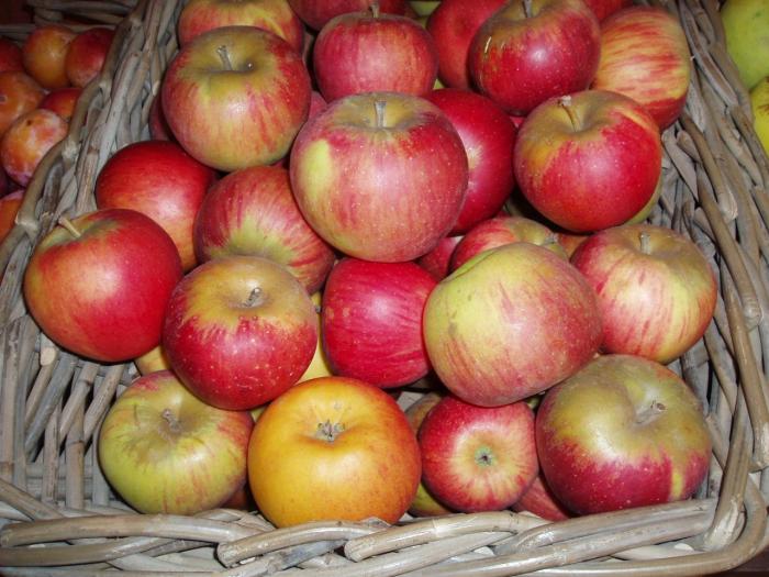 Fruits du mois d'Octobre