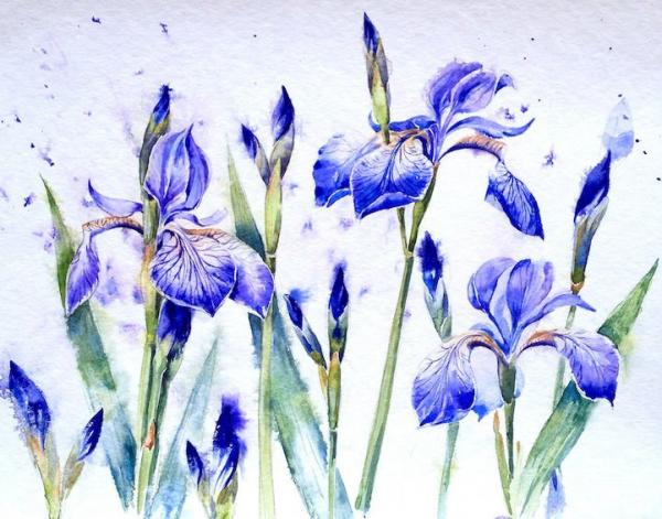 Peinture de : Eléna Moroz
