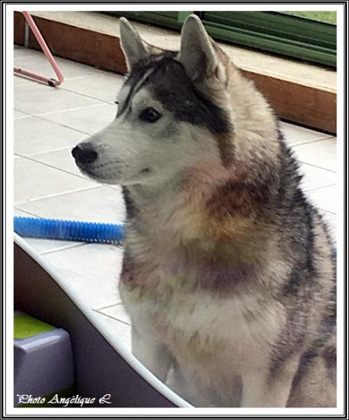 Jeska (3,5 ans)
