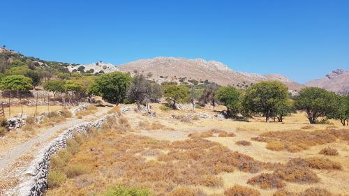 TILOS, balade à MIKRO CHORIO