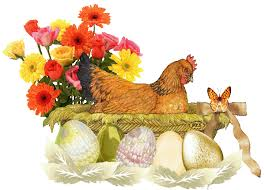 la petite poule