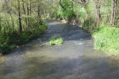 soulvache-semnon.jpg