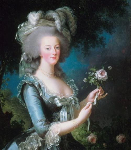 Louise Elisabeth Vigée Le Brun : Histoire d'un regard ; Geneviève Haroche-Bouzinac 