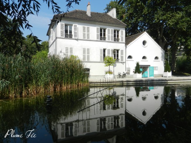 Image06.jpg