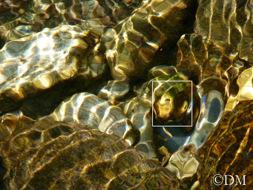 Les Laminak farçeurs