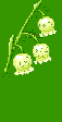 Cartonnettes Muguet !