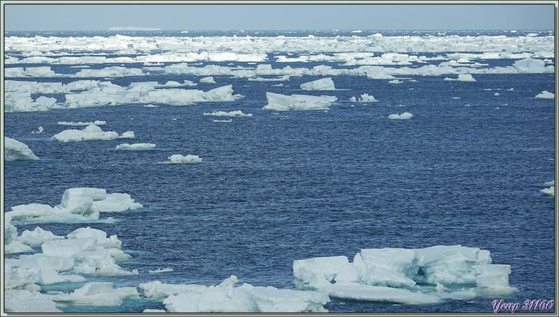 03/03/2022 : navigation très monotone entre Mer de Ross et Mer d'Amundsen - Antarctique