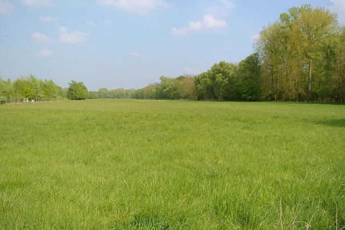 Département du Bas-Rhin