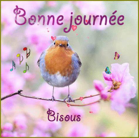 gifs "bonne journée" - Balades comtoises | Carte bonne journée, Image ...