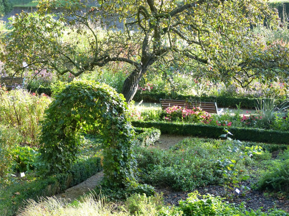 Un jardin romantique 