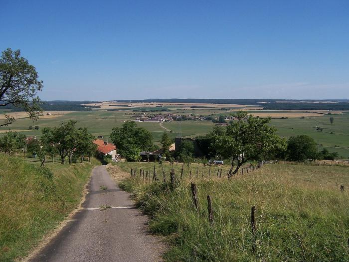 Département des Vosges