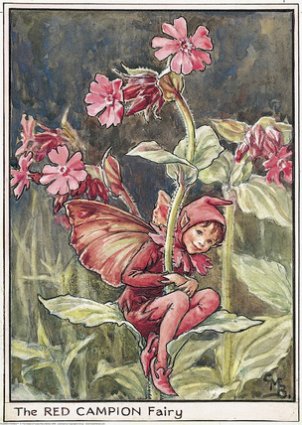 Image30
