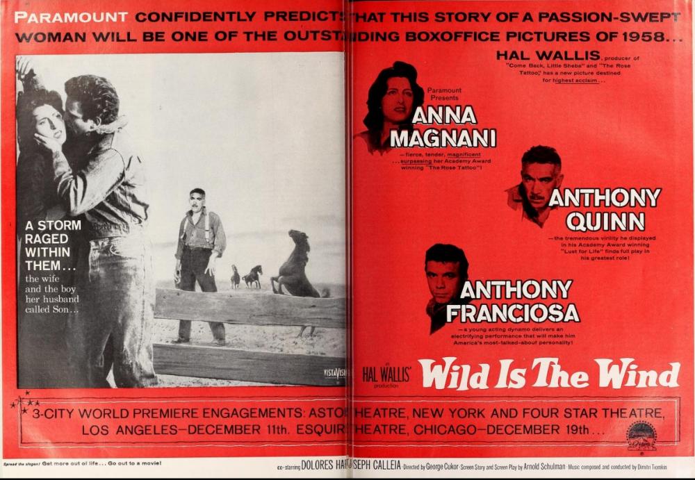 WILD IS THE WIND BOX OFFICE USA 1957