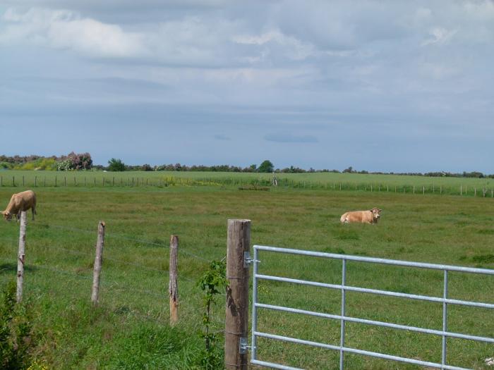 Département de la Vendée