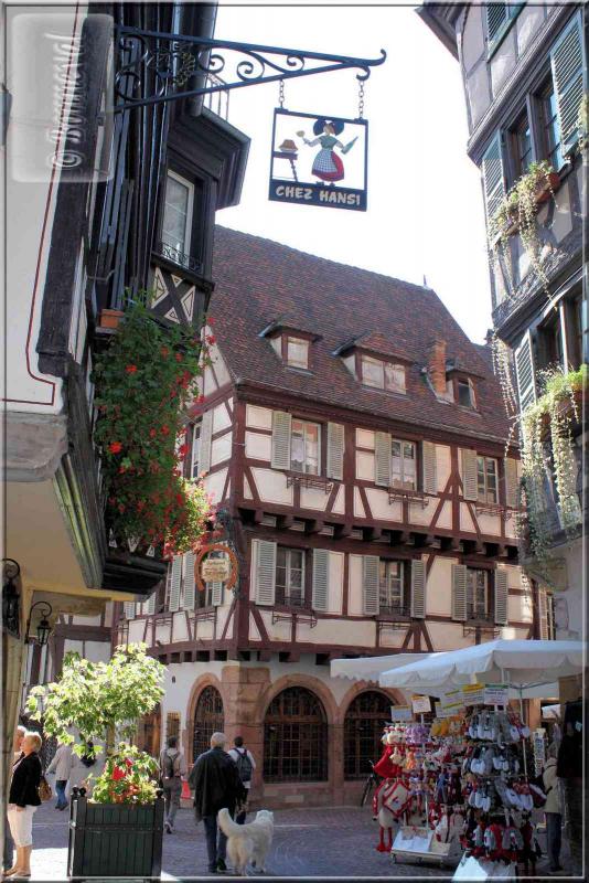 Alsace Haut-Rhin Colmar Maison rue des Marchands