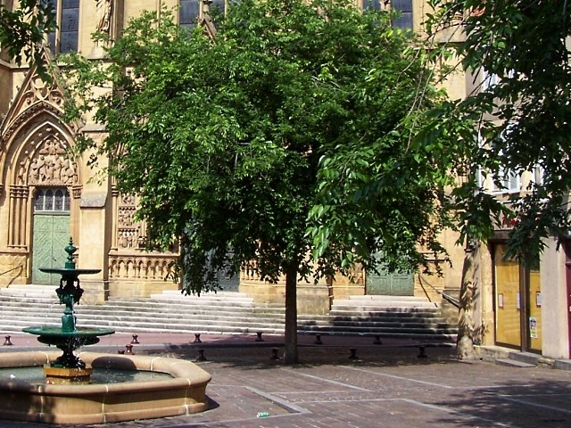Metz Hauts de Sainte-Croix 2 Marc de Metz 2011