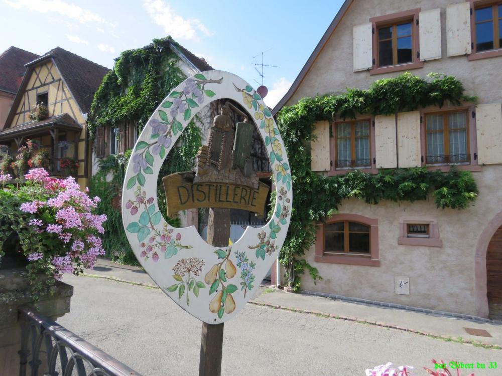 Bergheim en Alsace -2