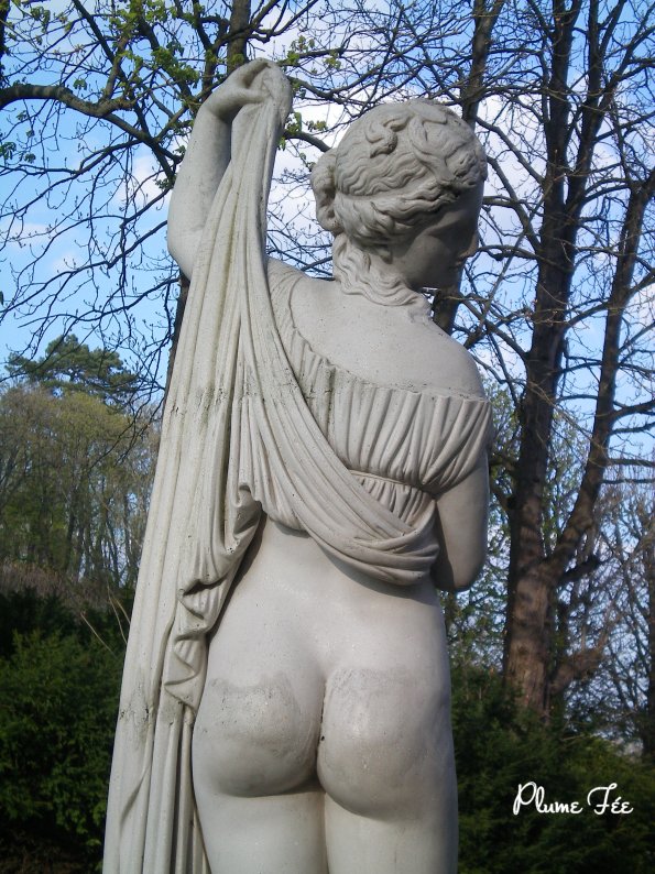 Image015.jpg