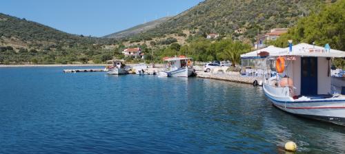 Patience et patience !