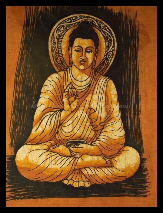 Tranches de vie d'un Australian Shepherd