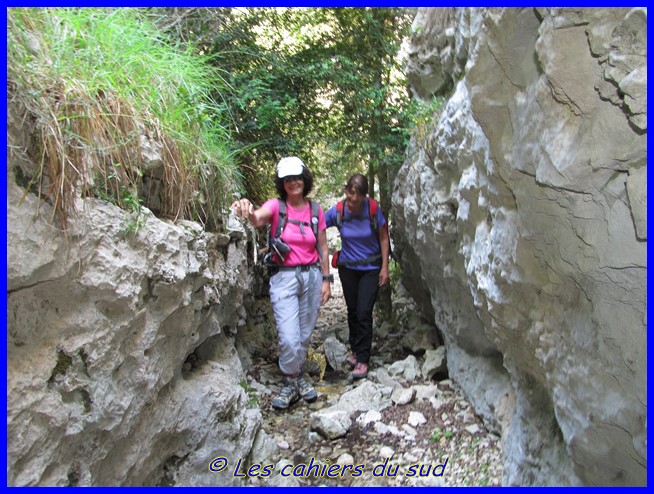 La combe de Curnier