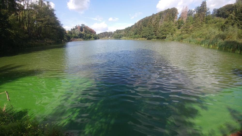 Leverkusen 2019: Diepentalsperre