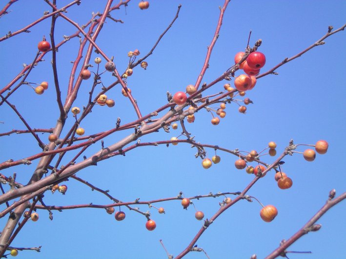 image02.jpg