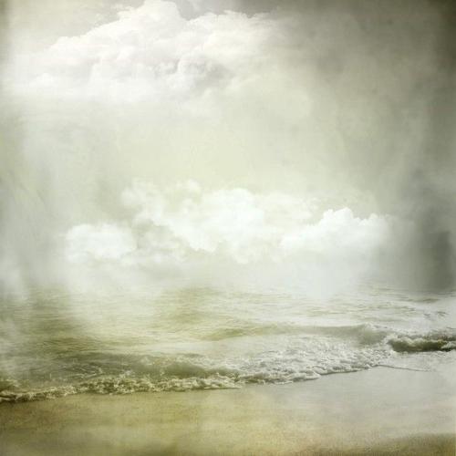 page 7  fonds de mer