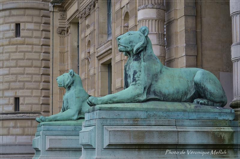 Musée du Louvre : La Porte des Lions : Lionnes du Sahara