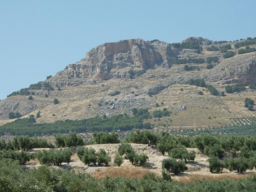 sierra nevada