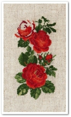 rose border 2
