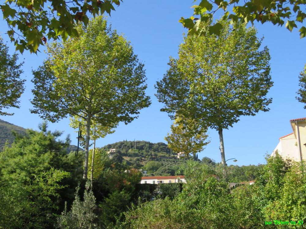 Balade dans Céret - 3 