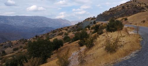 Route vers le lac de VAN...