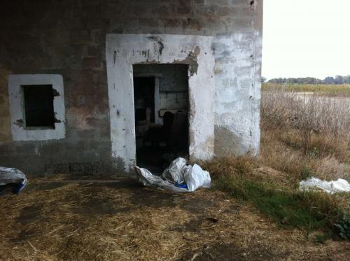 Bateau échoué, céréales et béton - Camargue