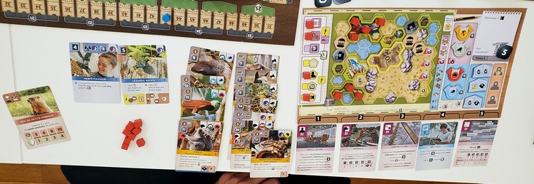 Ark Nova (Guillaume)