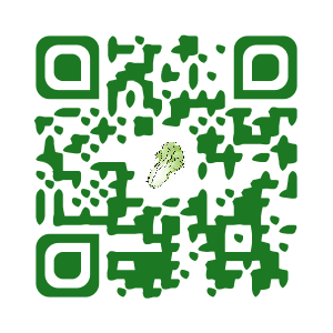 QR Code texte 19 ce1 ce2