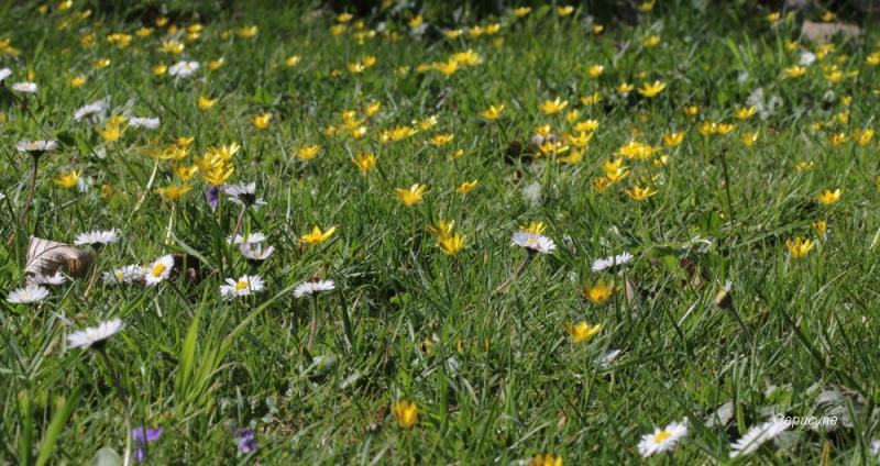 Aui jardin, le printemps s'emballe !