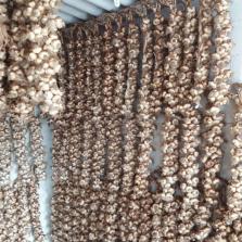 AIL LONGUE CONSERVATION