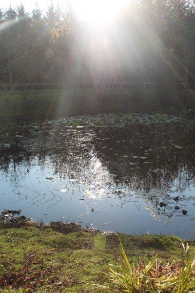jardin à St Urbain 035